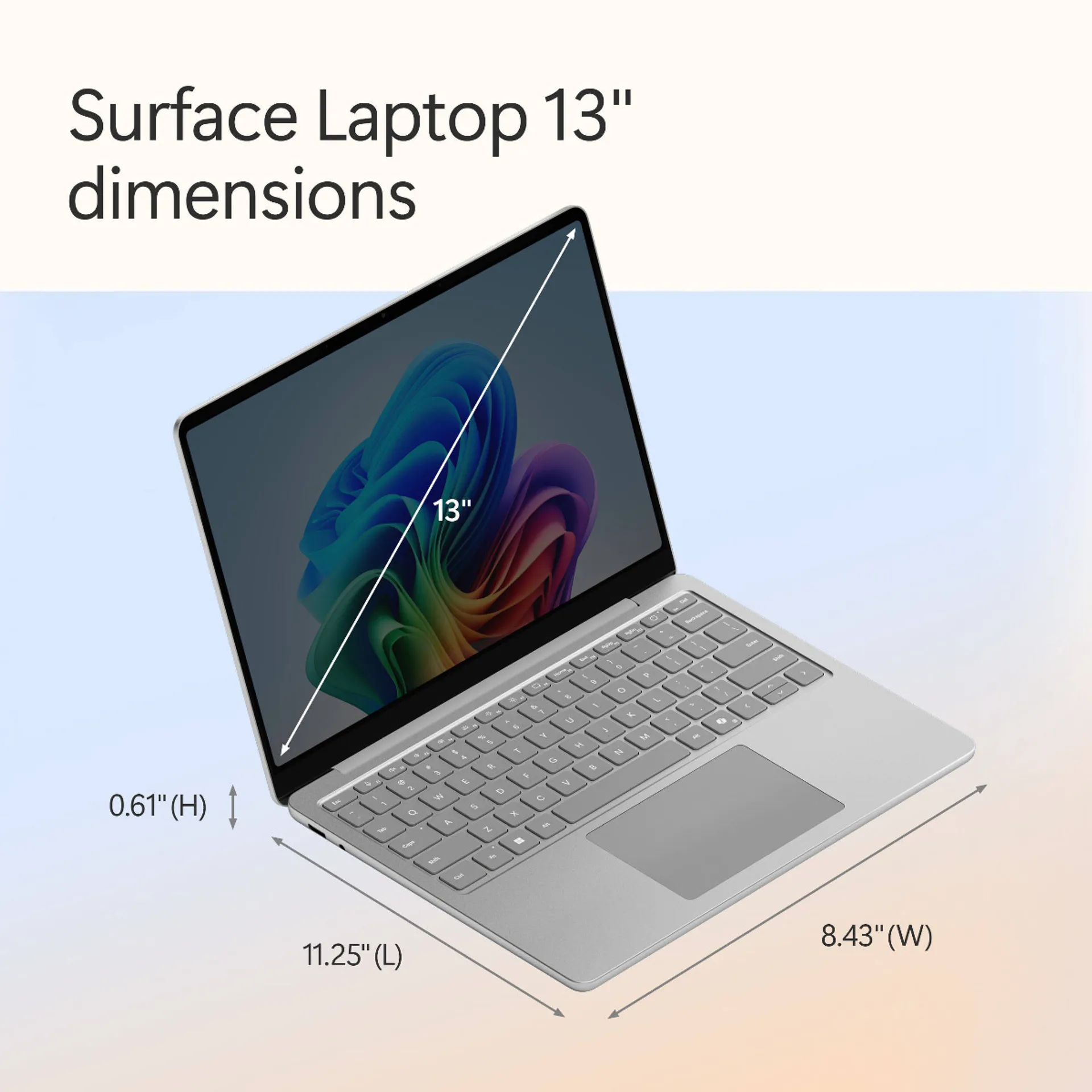 Microsoft 13