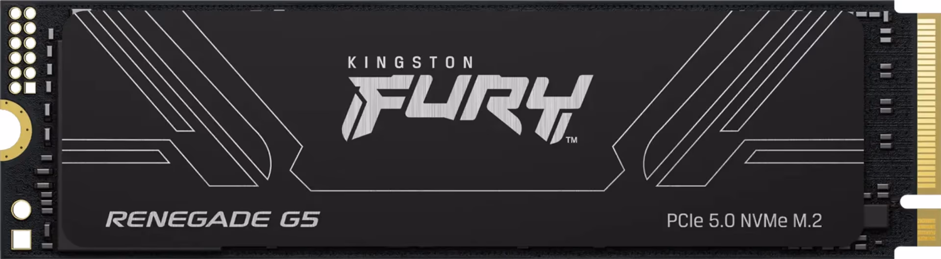 Kingston FURY Renegade G5 | 1TB NVMe SSD